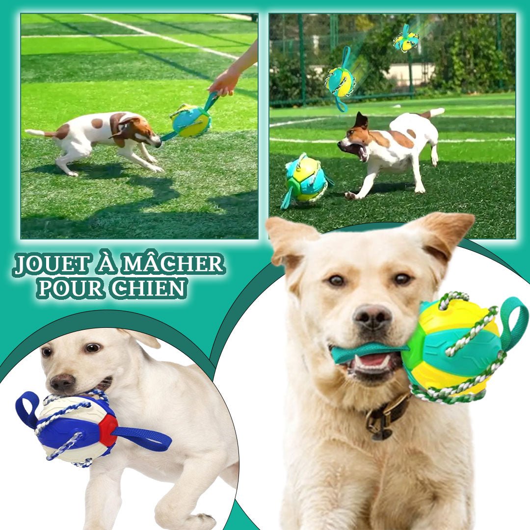 Jouet Balle Indestructible - Dogiball™ - Ami Pour la vie
