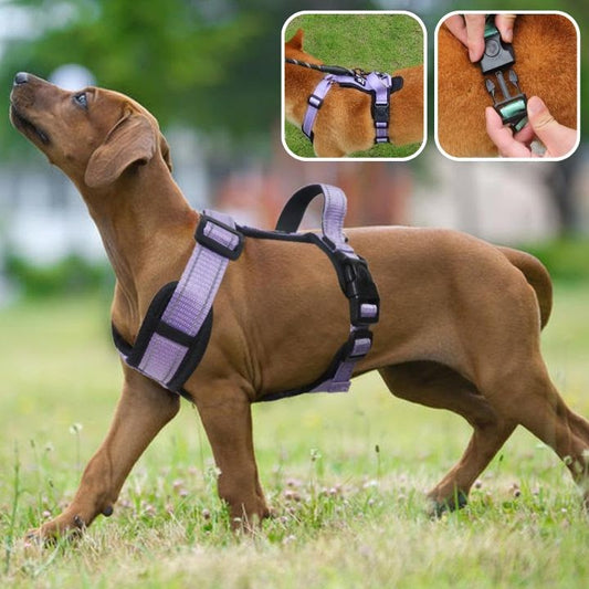 harnais anti traction chien | CaninZen™