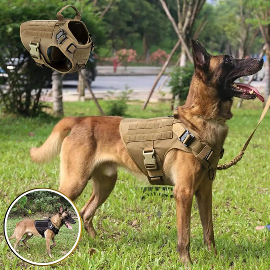 harnais chien anti traction | K9Shield™